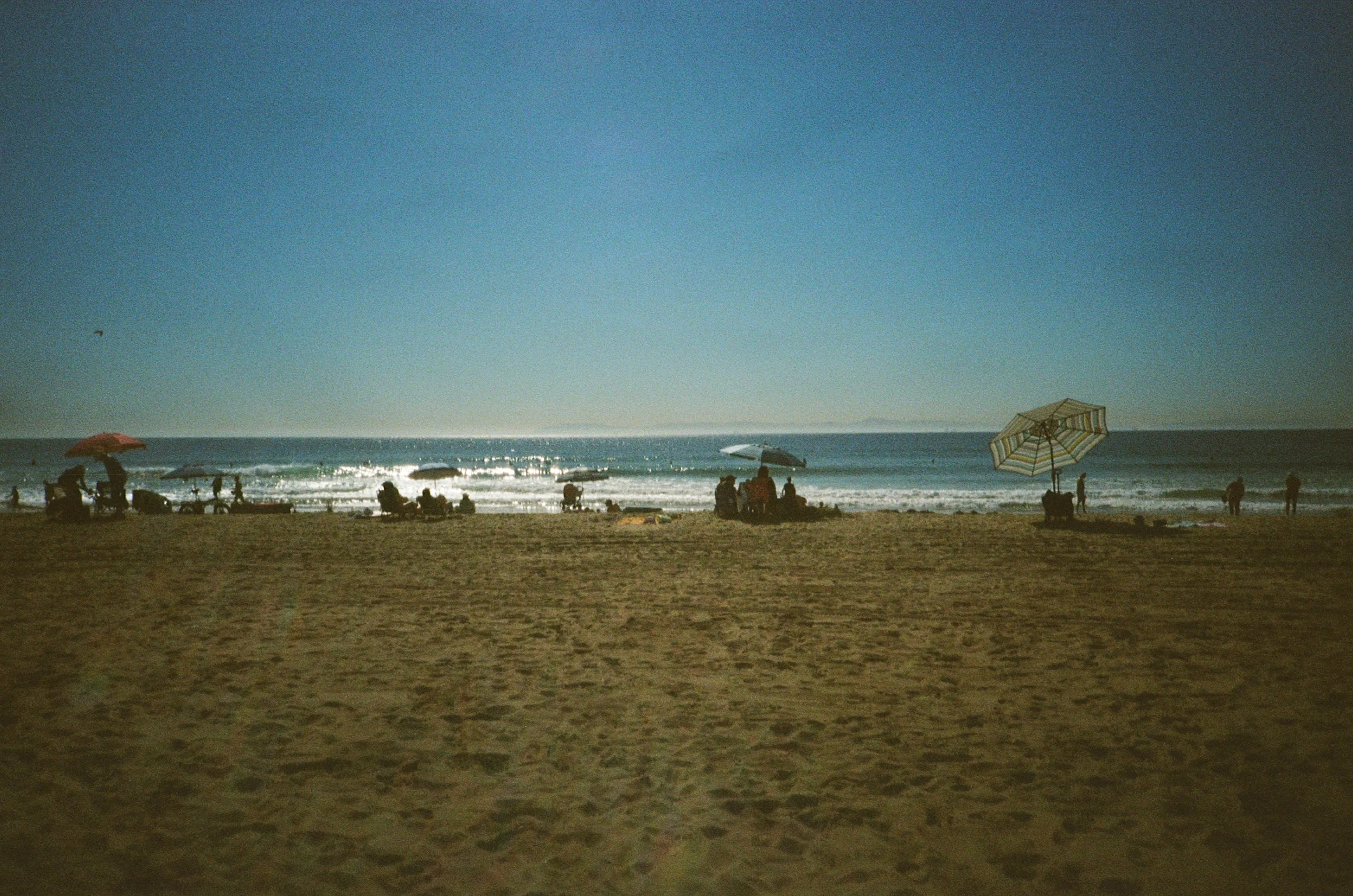 Beach Day