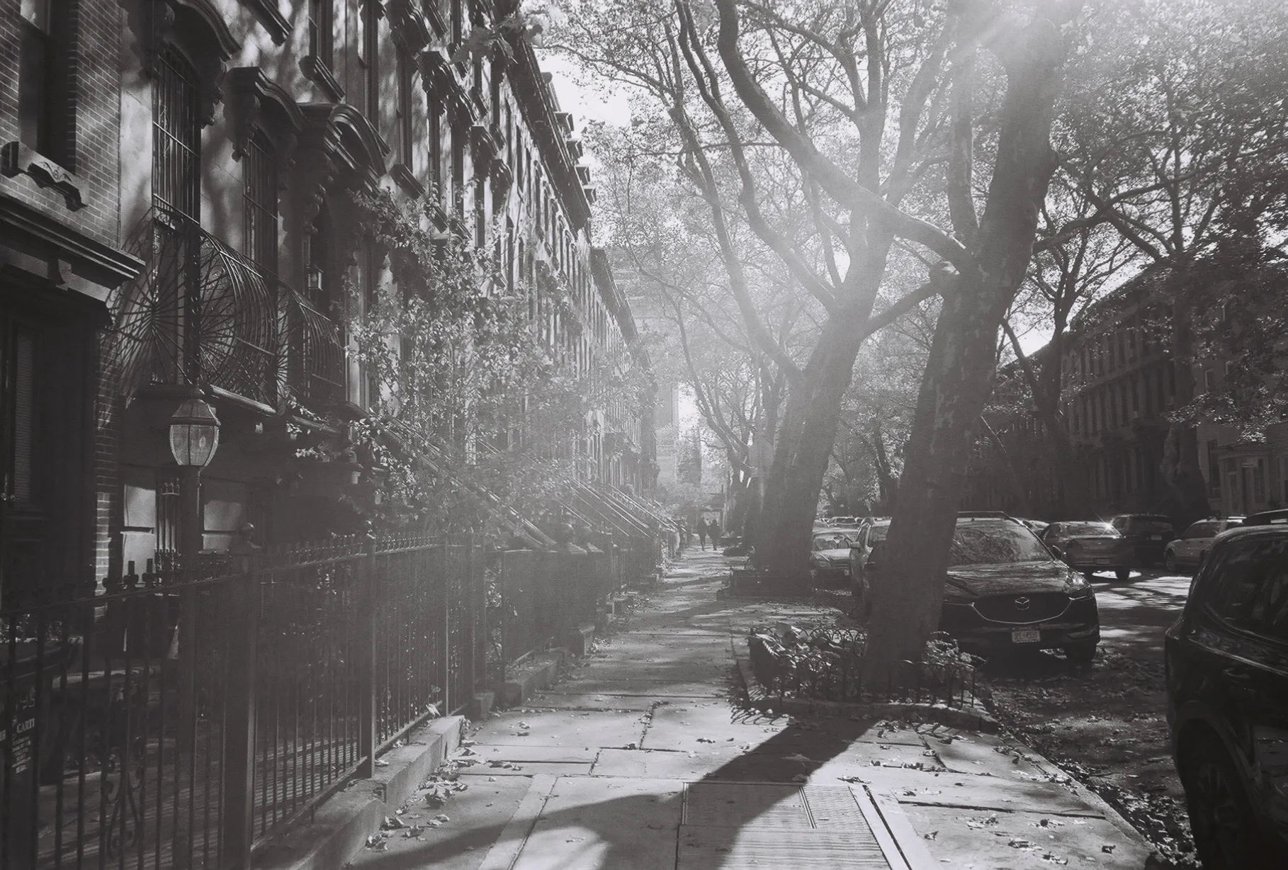 NYC Boerum Hill