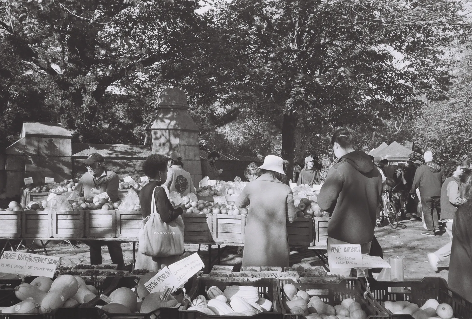 Fall Farmers Market