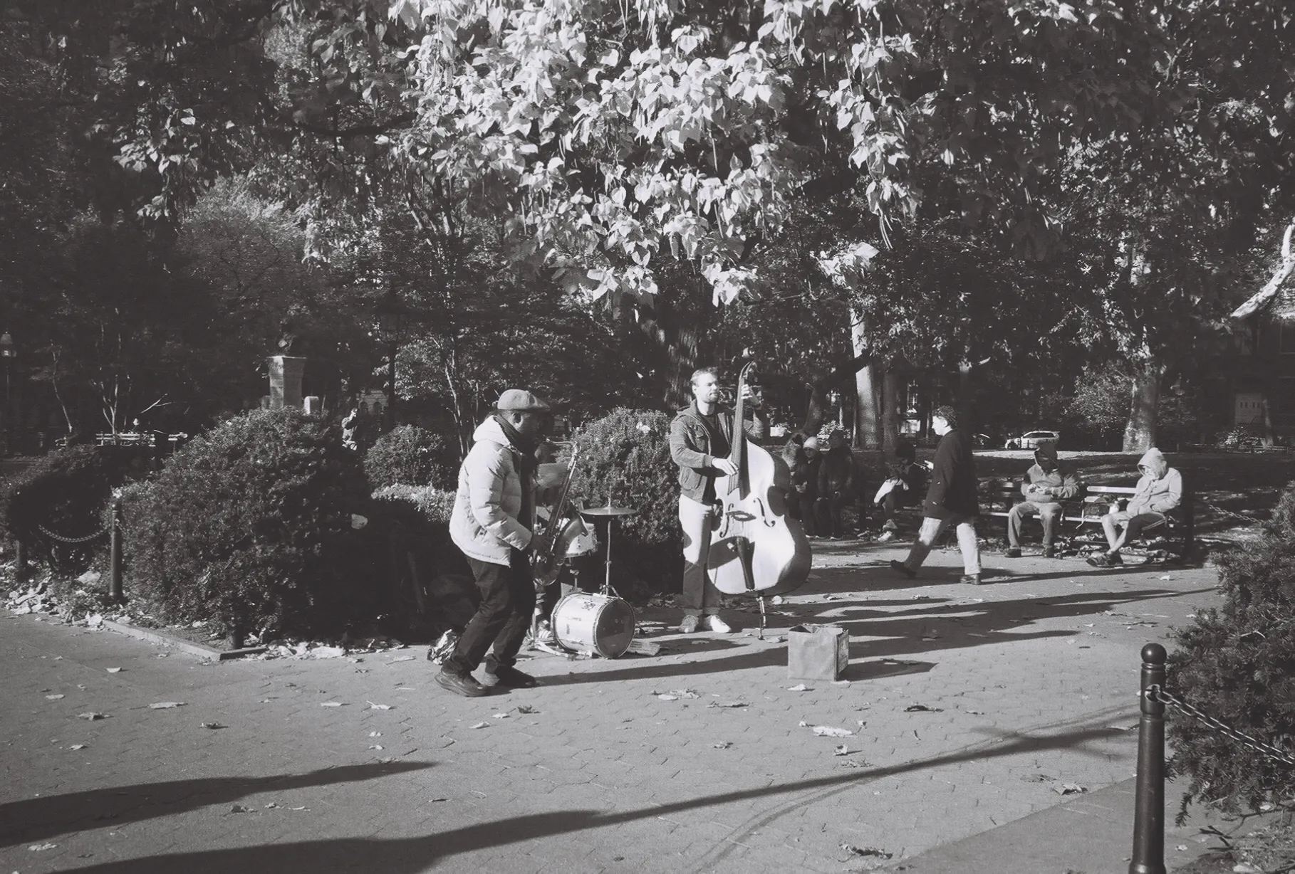 Falling for Jazz