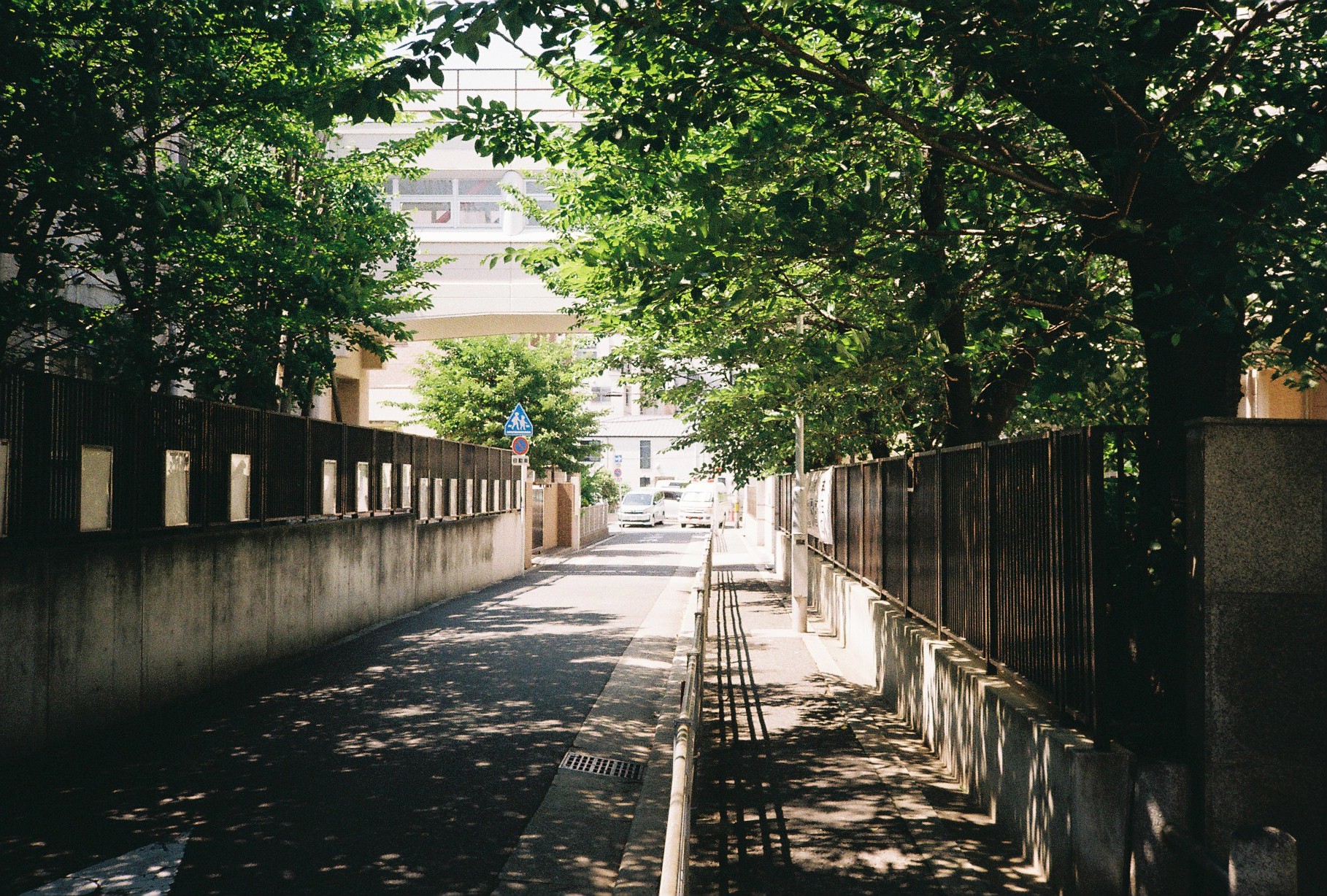 A walk to the Ikuno station