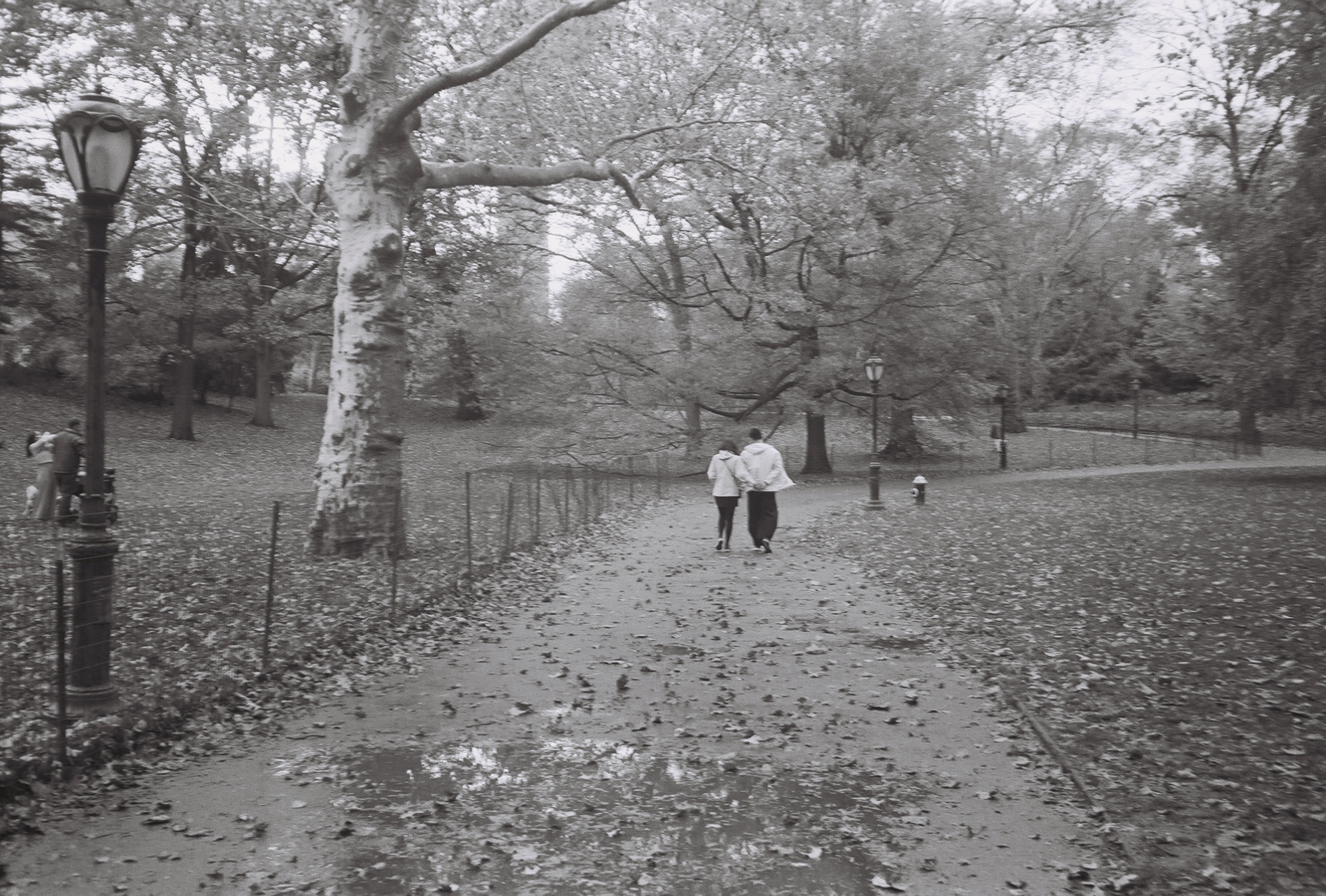 Fall Day in the Park